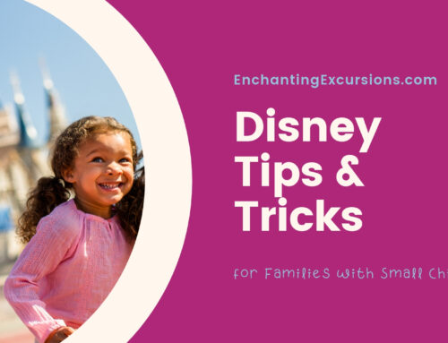 Disney Tips for Families with Small Children