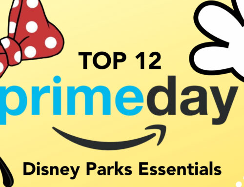 Top 12 Prime Day 2019 Disney Parks Essentials