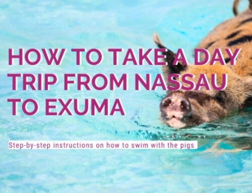 How to Take a Day Trip to Exuma From Nassau