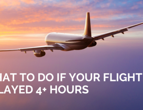 What To Do If Your Flight is Delayed 4+ Hours